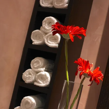 Gale Collection (adults Only) Hotell 4*